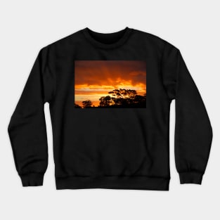 Tree Line Silhouette 2 Crewneck Sweatshirt